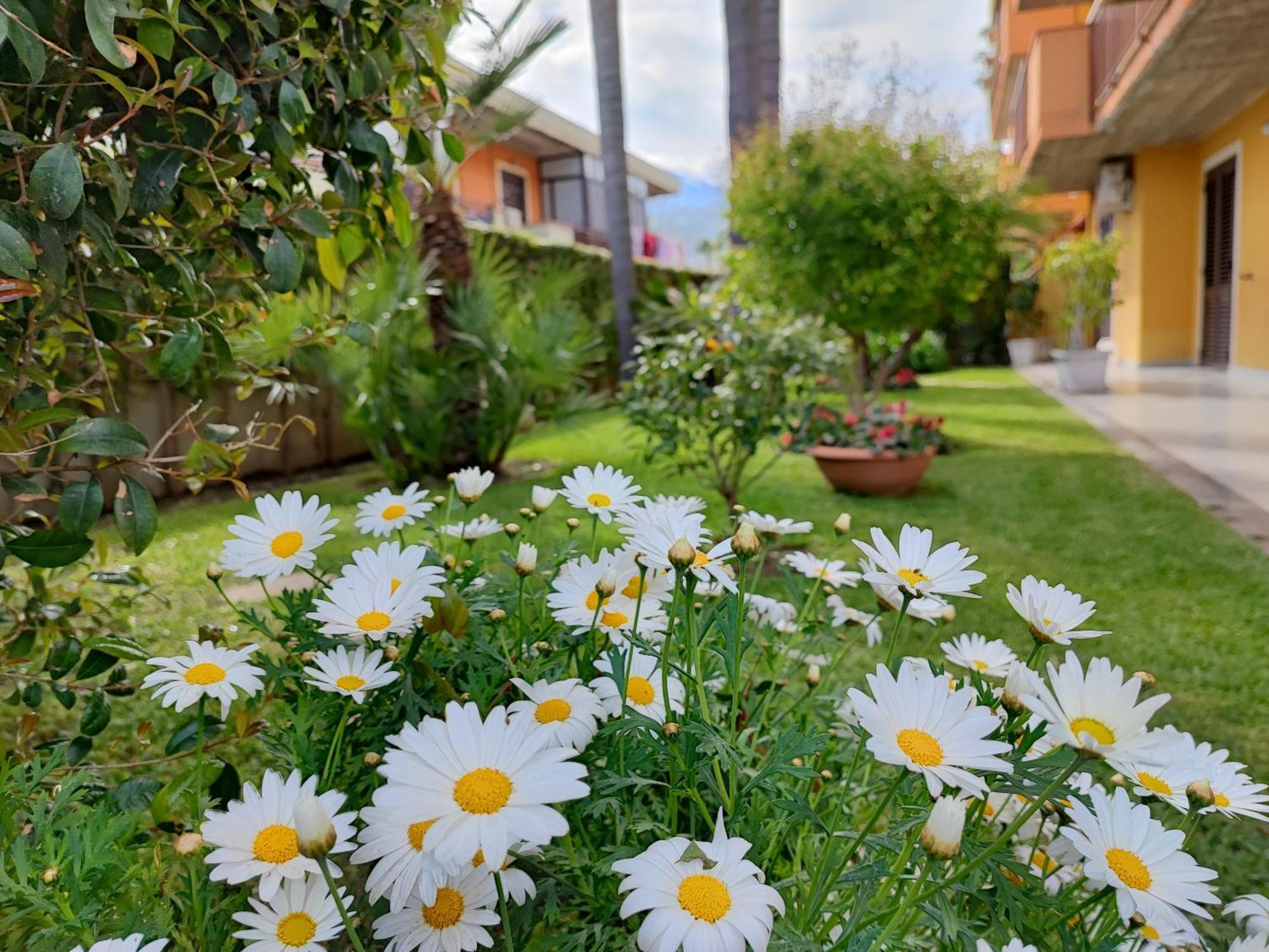 Apartmán Maresole Tra L'Etna E Taormina Mascali Exteriér fotografie