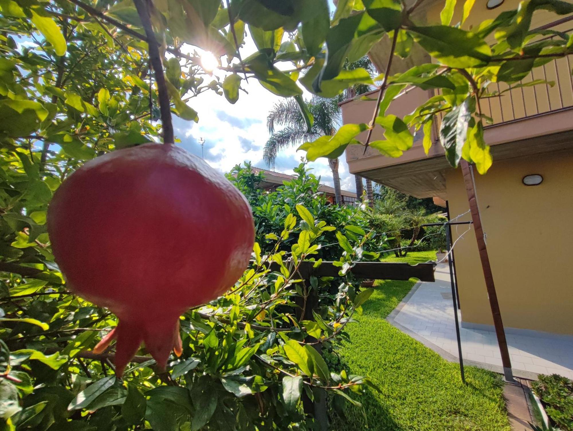 Apartmán Maresole Tra L'Etna E Taormina Mascali Exteriér fotografie